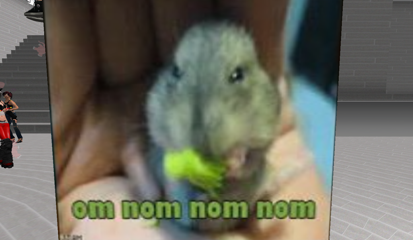 Original 55a5f213f8a1ec2611000001