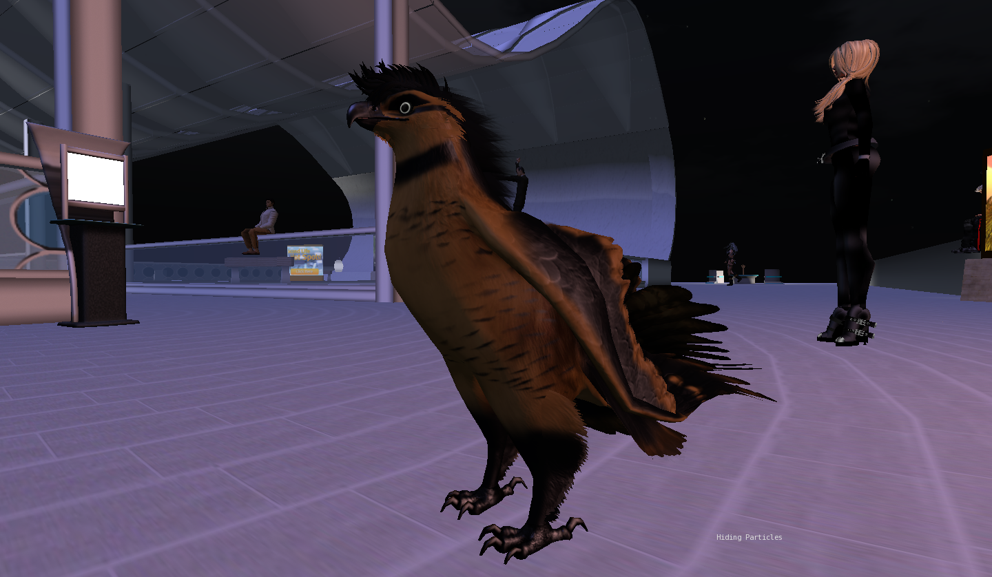 Original 55dfd179128cc93a49000001