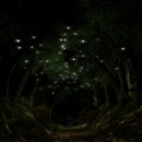 Thumb 5588ca52f8a1ec450d000001