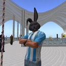 Thumb 558d8ab1a73e217ada000001