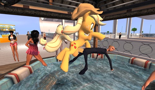 Web 5598ac52a73e215cbd000001