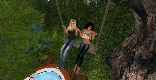 Web 53ab320e8da5720bfa000001