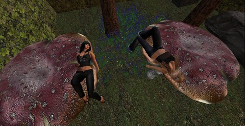 Web 53b766f7a73e214899000001