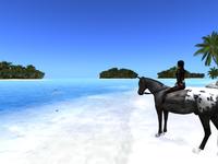 Small 5d21107bd774f82761000001