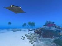 Small 5da1e2b6d774f87c18000001