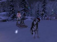 Small 5df43a4cd774f840f097a9e2