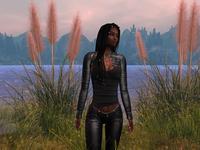 Small 5e84506cd774f8033c23fb64