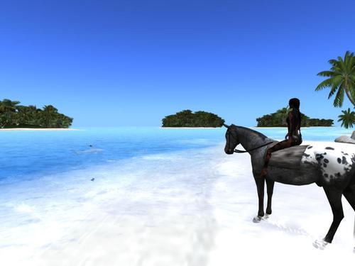 Web 5d21107bd774f82761000001