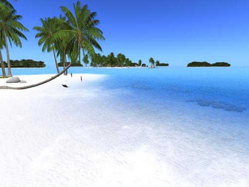 Web 5d6eb38873ed1705d0000001