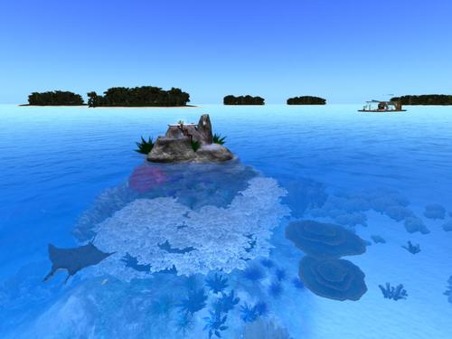 Web 5da1dfb7289dd2110e000001