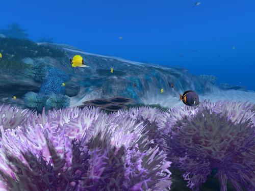 Web 5da1e5a0d9859c0792000001