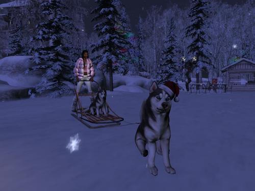 Web 5df43a4cd774f840f097a9e2