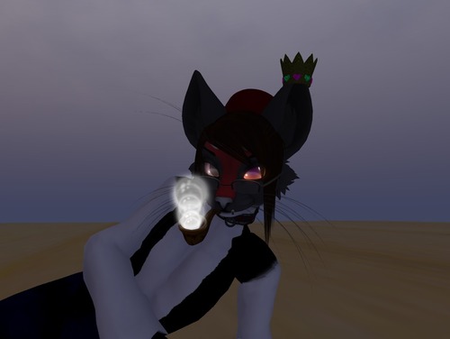 Web 5566f941128cc92daf000001