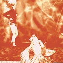 Thumb 55e51678a73e215a57000001