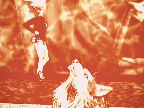 Web 55e51678a73e215a57000001