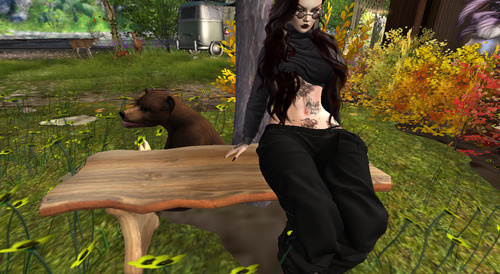 Web 673961efe640fb467aea752d