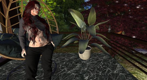 Web 6739640de93e8e71c6adb5a7