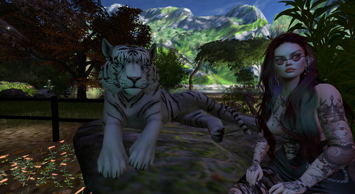 Web 673a83a2e93e8e6009adb5a7