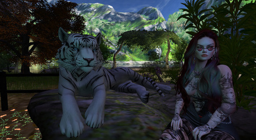 Web 673a83d063ba0e1cd420c66f