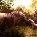 Thumb 592b0d28d9859c4d26000001