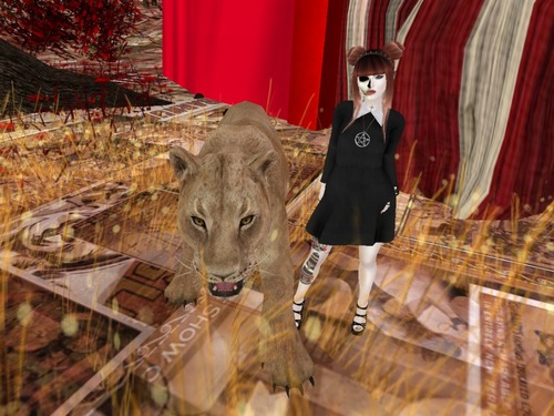 Web 562180218da57256ea000001