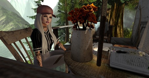 Web 58d0083af8a1ec757d000001