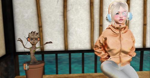 Web 5a5688ff289dd22a24000001