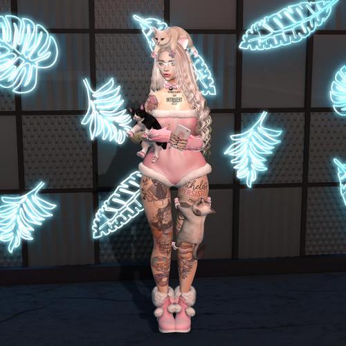 Web 5c193a4173ed171699000001