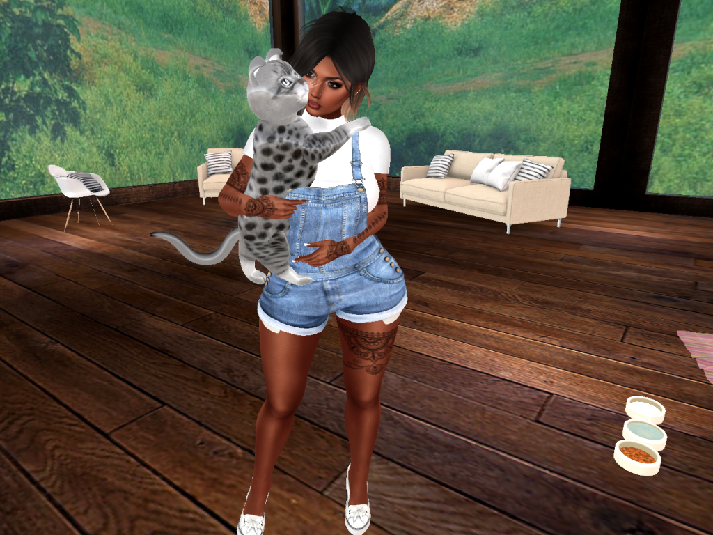 Original 58ab6848b713f73d74000001