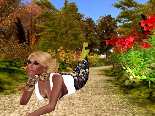 Web 55fe004a8da57240c1000001