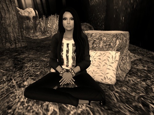 Web 560b0c5f128cc90336000001