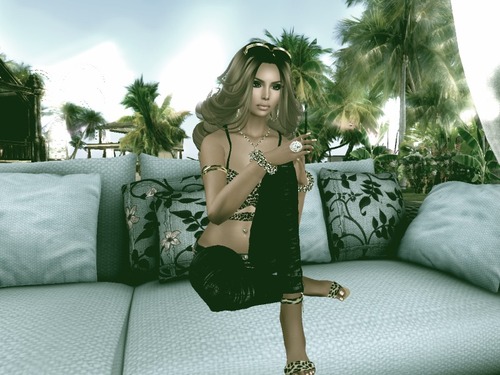 Web 56116a76f8a1ec25b9000001