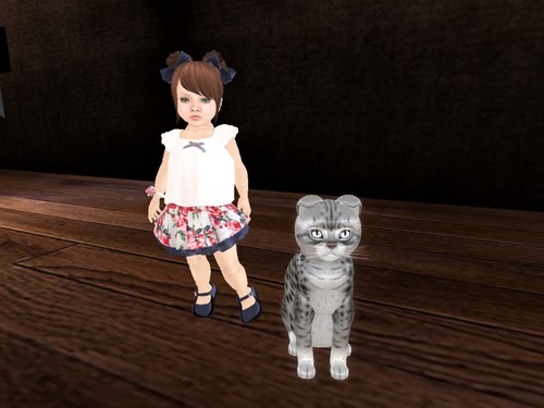 Web 58b3697ae85cda0c4b000001