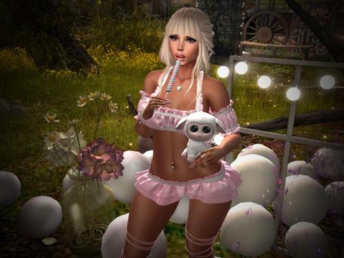 Web 594d5caad774f83084000001