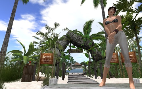 Web 53dbad7e8da572328a000001