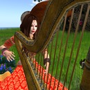 Thumb 5564d8248da5727455000001