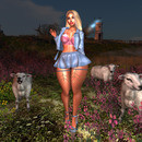 Thumb 642571507d11db06801cbc67