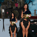 Thumb 6562453fdab3b56805c7a942