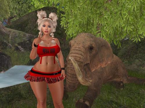 Web 62ffc1146ff9ad2cac081157