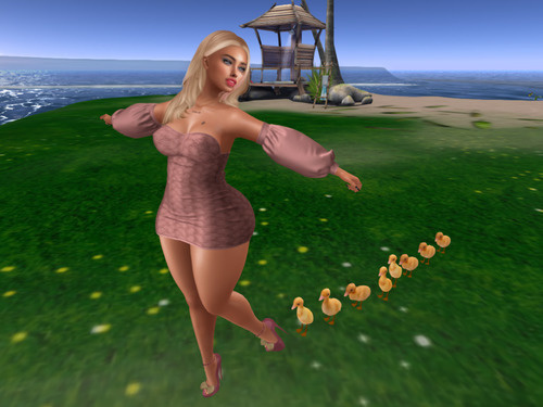 Web 6421c2e27f64dd3545ff9f6e