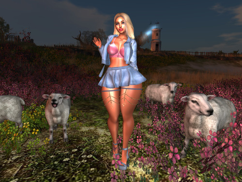 Web 642571507d11db06801cbc67