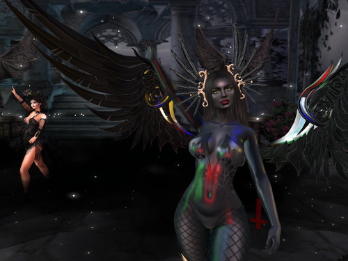 Web 64271d1564a3a466f1e65a9c