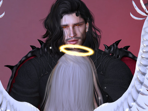 Web 66079f7db3c82279acad1ddd