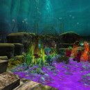 Thumb 64695d5c05423f09a507fc00