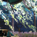 Thumb 647968d67d11db10881cbc67