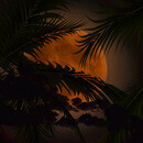 Thumb 653dbd6bddef4c26704b7d39