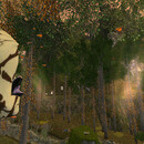 Thumb 655e4c9e9e52b11b5be2bfa1