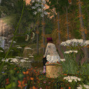 Thumb 655e4f5eb086481b93000499