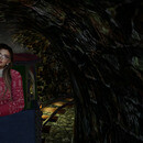 Thumb 657a27aa95dcc955244c7984