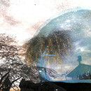 Thumb 657a30eb95dcc96d364c7984